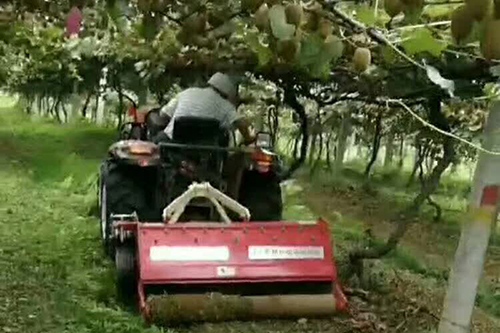 Роторная обработка почвы